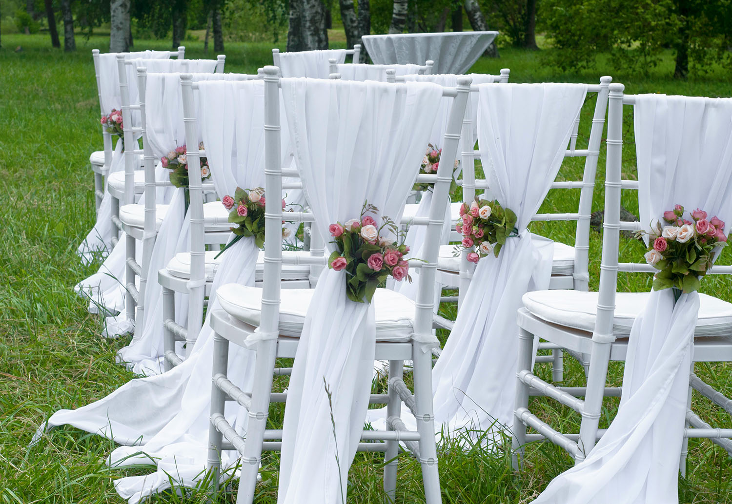 Where to Find HighQuality Tiffany Chairs for Wedding 2024 Guide